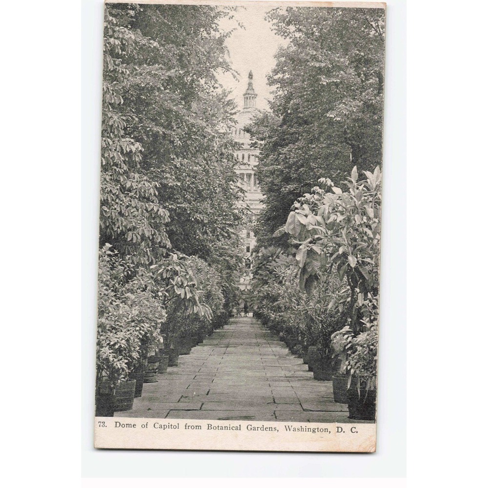 Vintage Postcard Washington DC Capitol Dome from Botanical Gardens Ottenheimer